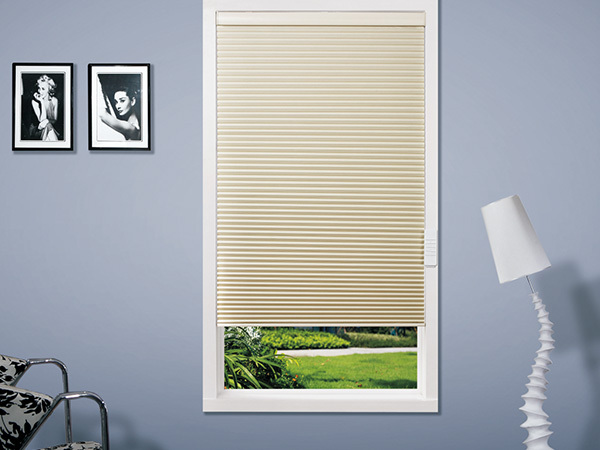 MOTORIZED HONEYCOME BLIND