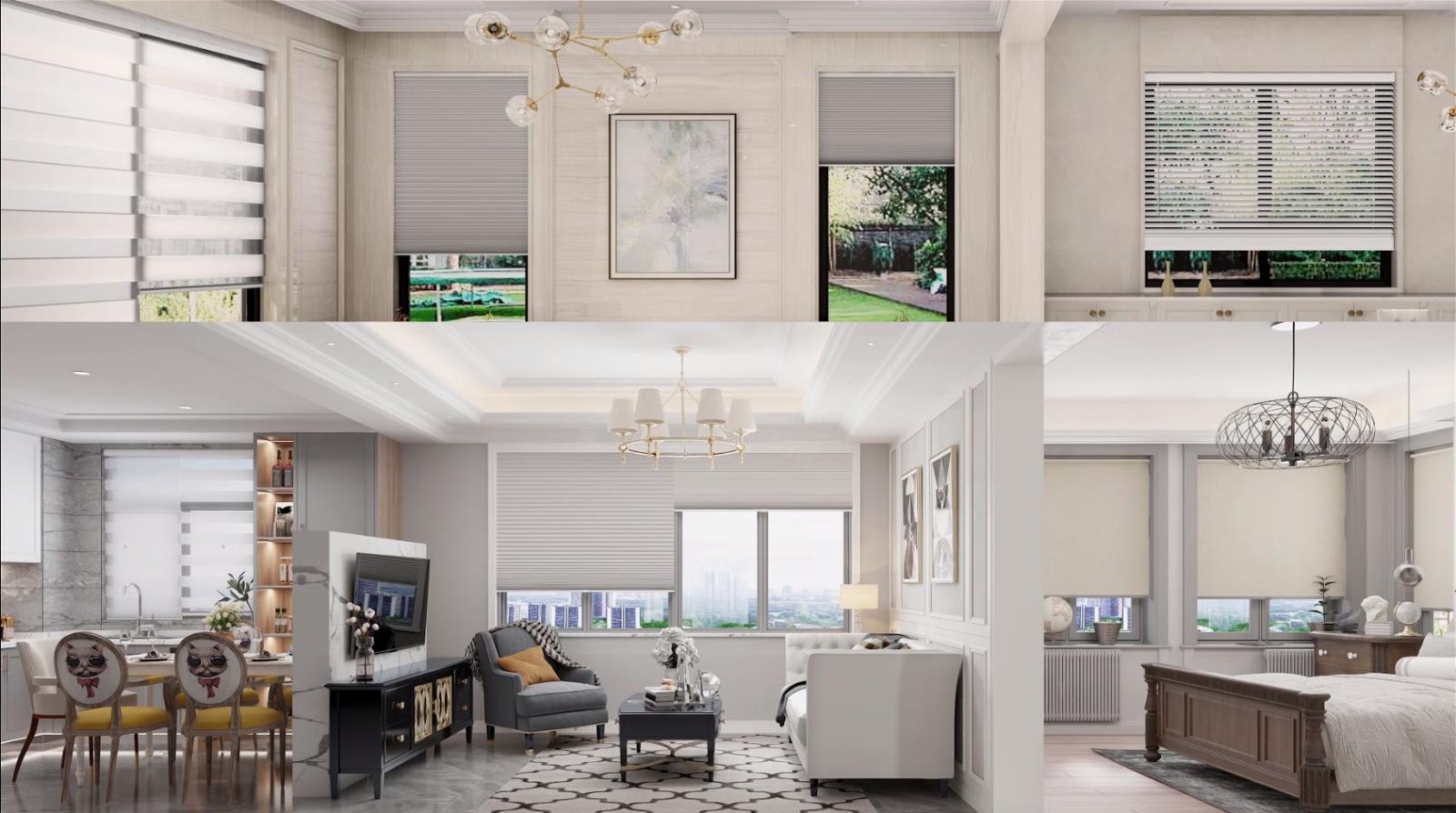 Changshade Cordless Zebra Roller Shades